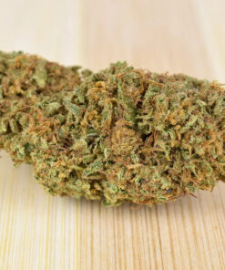 Strawberry Diesel 2026