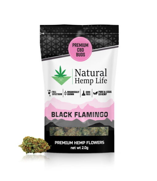 Black Flamingo