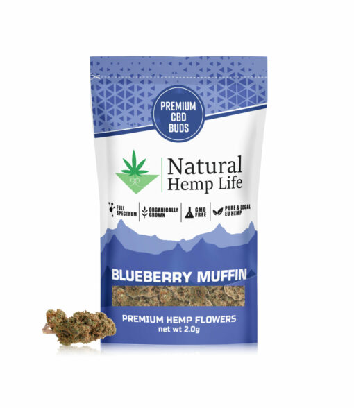 Blueberry Muffin