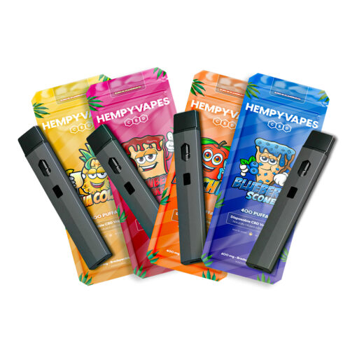 Einweg-Vapes Probierpaket