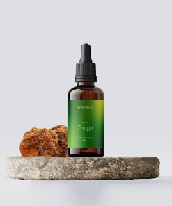 Chaga Tinktur und Pilz