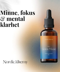 Lions Mane Tinktur Vorteile