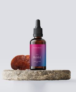 Reishi Tinktur und Pilz