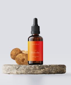 Shiitake Tinktur und Pilz