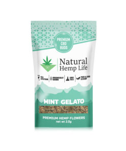 Mint Gelato Premium CBD Buds
